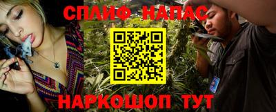 гашик Кунгур