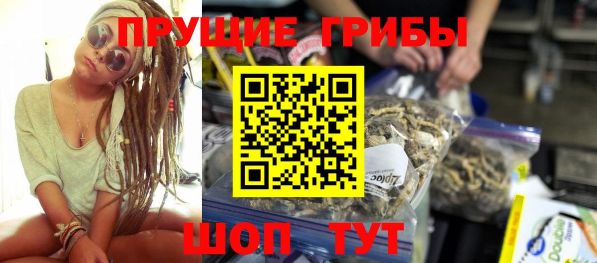 Псилоцибиновые грибы Psilocybine cubensis Домодедово