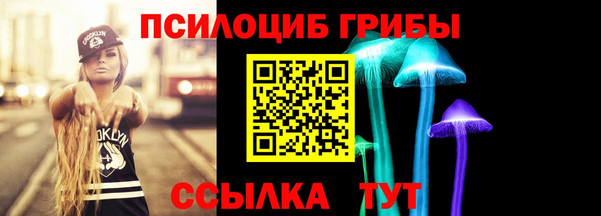 Домодедово  Галлюциногенные грибы прущие грибы  Вход с VPN  Галлюциногенные грибы мухоморы 